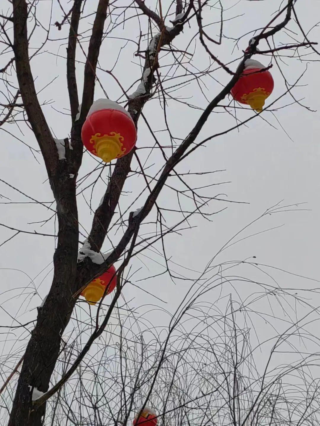 山西今日多地下雪，漫天飞舞的雪花，美不胜收