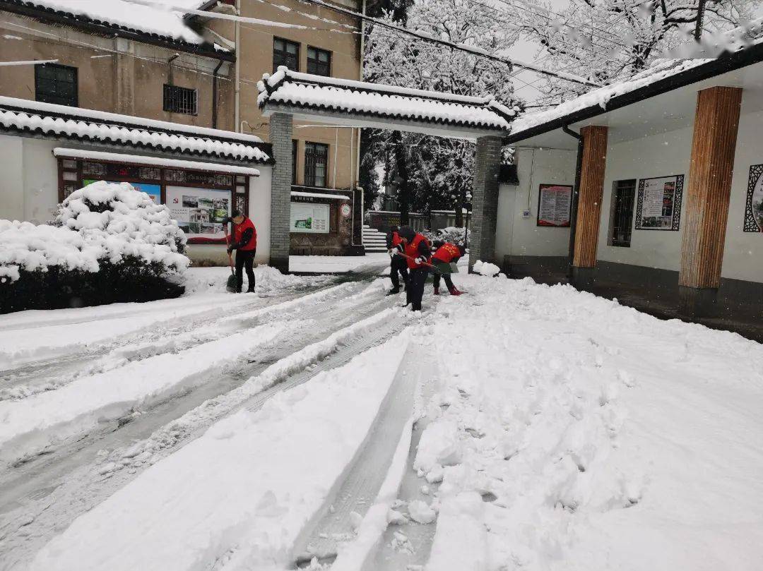 村民门口积雪半米深，寒冬中的挑战与希望