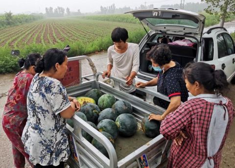 推荐，重磅！投资5万承包30亩鱼塘，神秘发现大量珍稀荷包红鲤鱼？是赚翻天还是亏到哭？！