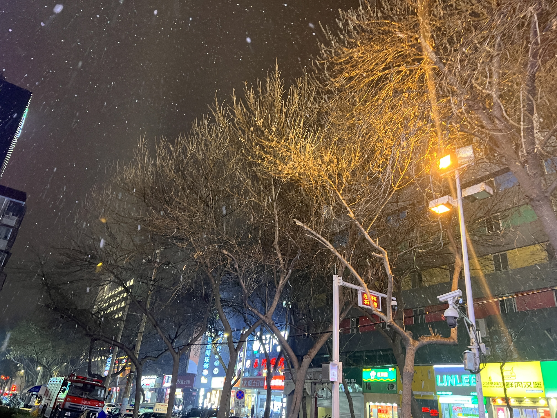 郑州下雪了，一场雪带来的惊喜与挑战