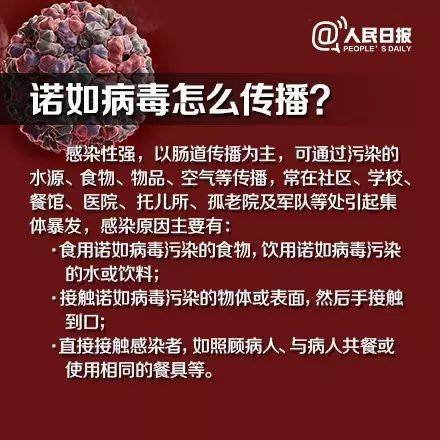 上海疾控紧急发布诺如病毒预防提醒，警惕！澳门市民需知悉的防控细节大揭秘！！（内含深度解析）