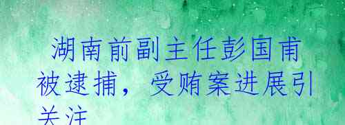 彭国甫涉嫌受贿逾亿，深度剖析背后的真相与警示