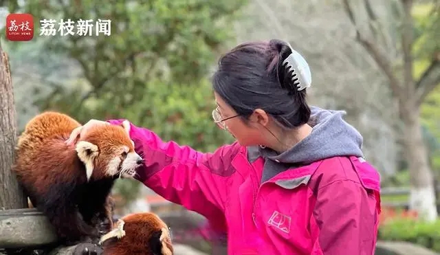 剑桥硕士成动物园饲养员，梦想与现实之间的抉择