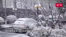 日本遭遇罕见大雪，积雪厚度惊人达五米！雪灾背后的真相究竟如何？深度解析事件全貌。