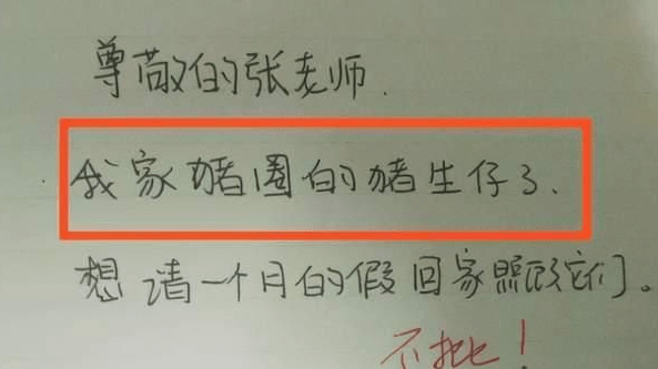 大学生请假返乡结婚，背后的故事与深度解读——一份实用攻略助你明智抉择！